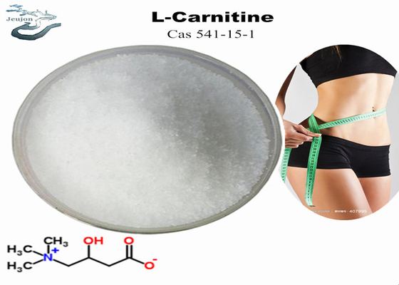 مستحضرات التجميل المواد الخام R L مسحوق الكارنيتين لفقدان الوزن CAS 541-15-1 مسحوق حرق الدهون في البطن