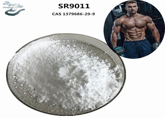 Gym Powder Sarm Supplement Bodybuilding SR9011 CAS 1379686-29-9 For Building Muscle