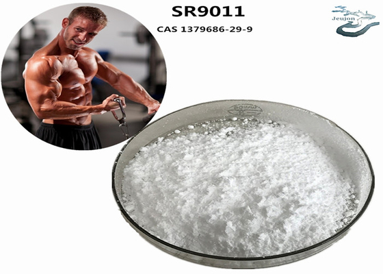 SR9011 سارمز حرق الدهون غبار رياضة الرياضة CAS 1379686-29-9 مكملات كمال الأجسام