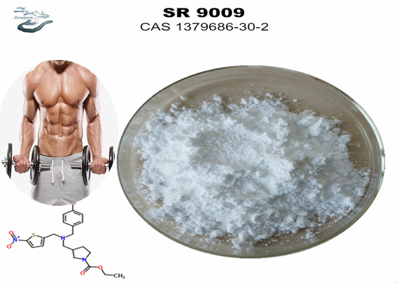 مسحوق الرياضة سارمز مكملات التمرين ستينابولي SR-9009 قبل التمرين CAS 1379686-30-2