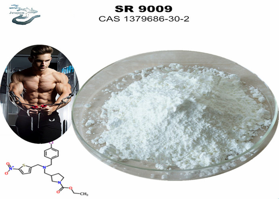 مسحوق الرياضة CAS 1379686-30-2 SR9009 ستينابوليك سارم SR-9009 مكملات ستينابوليك كمال الأجسام
